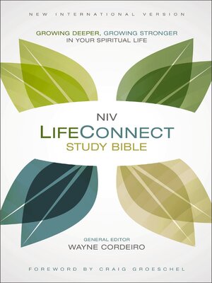 cover image of NIV, LifeConnect Study Bible